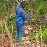 Community Development NGO