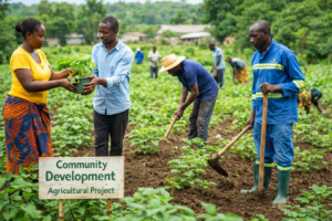 Community Development NGO